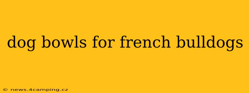 dog bowls for french bulldogs
