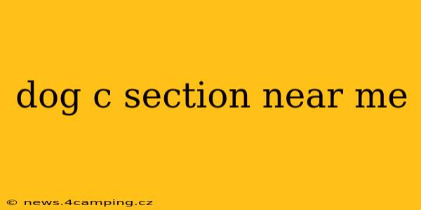 dog c section near me