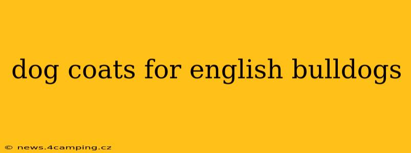 dog coats for english bulldogs