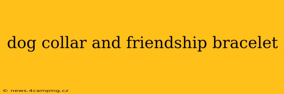dog collar and friendship bracelet