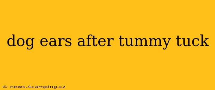 dog ears after tummy tuck