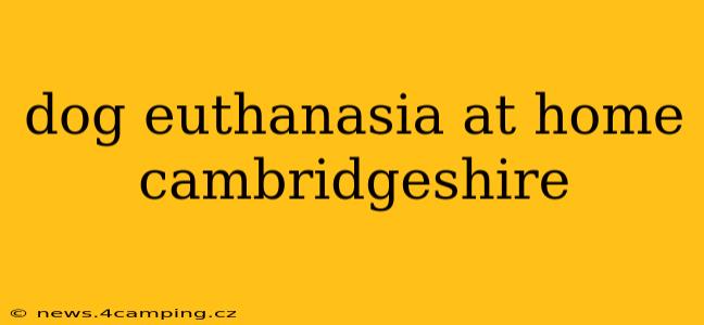 dog euthanasia at home cambridgeshire