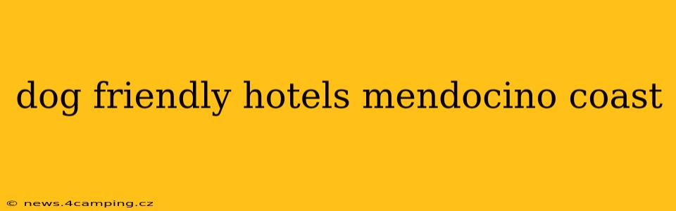 dog friendly hotels mendocino coast