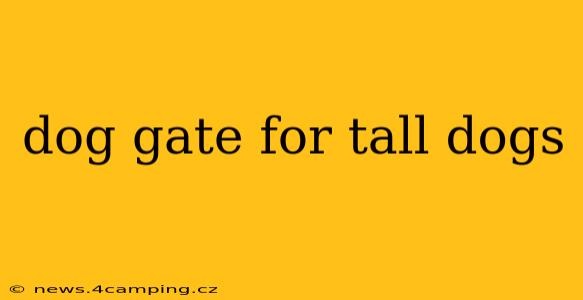dog gate for tall dogs