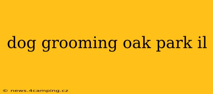 dog grooming oak park il