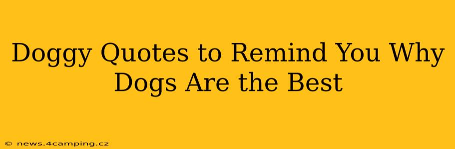Doggy Quotes to Remind You Why Dogs Are the Best