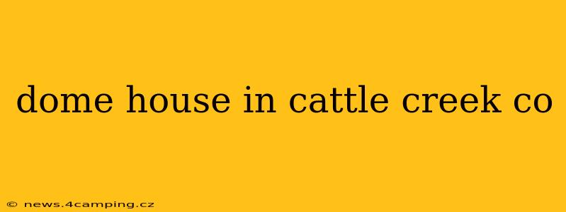 dome house in cattle creek co