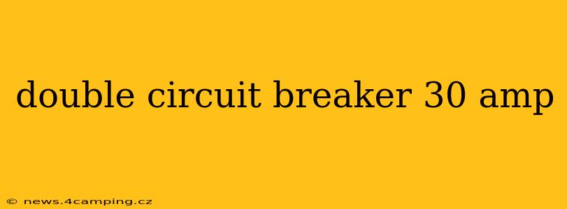 double circuit breaker 30 amp