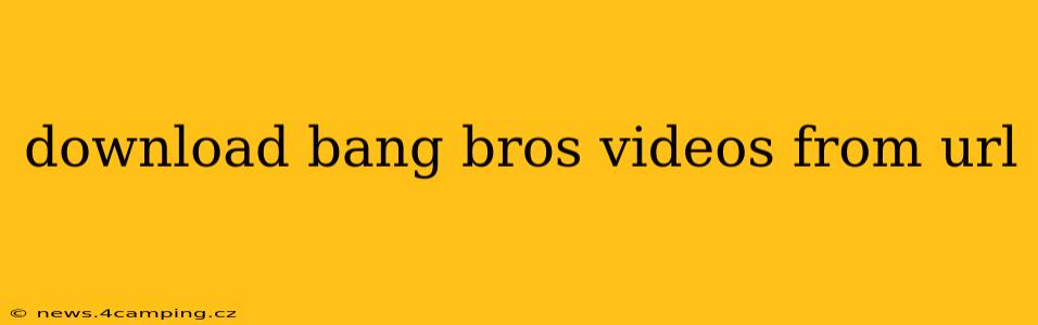 download bang bros videos from url