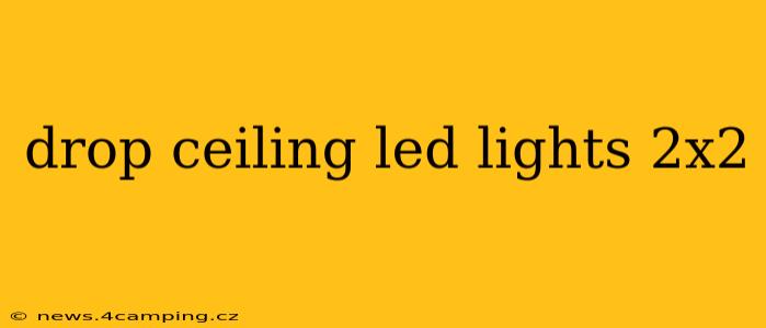 drop ceiling led lights 2x2