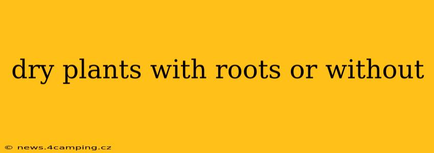 dry plants with roots or without