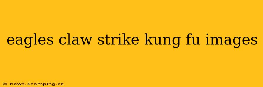 eagles claw strike kung fu images