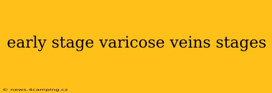 early stage varicose veins stages