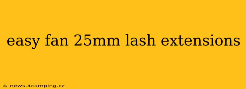 easy fan 25mm lash extensions