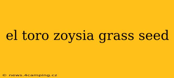 el toro zoysia grass seed