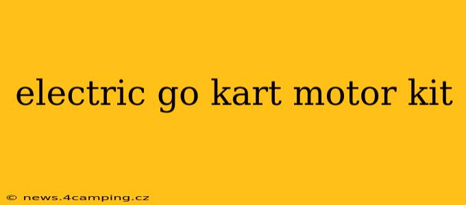 electric go kart motor kit