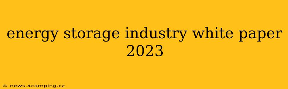 energy storage industry white paper 2023