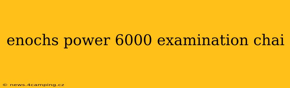 enochs power 6000 examination chai