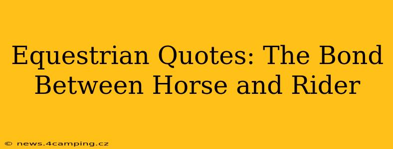 Equestrian Quotes: The Bond Between Horse and Rider