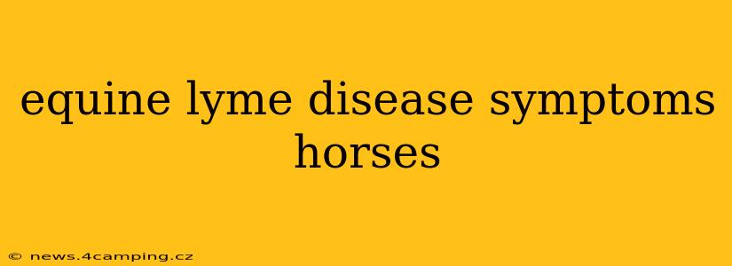 equine lyme disease symptoms horses