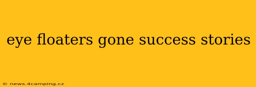eye floaters gone success stories