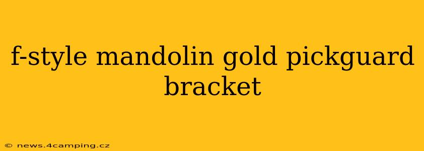 f-style mandolin gold pickguard bracket