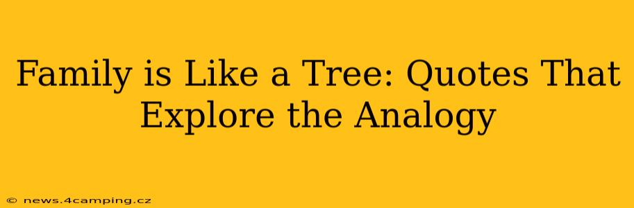 Family is Like a Tree: Quotes That Explore the Analogy