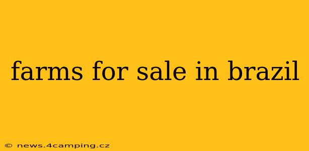 farms for sale in brazil