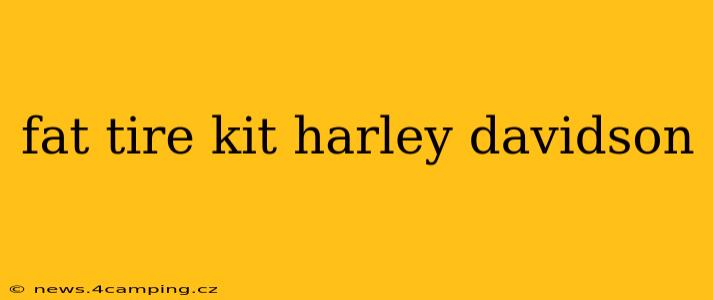 fat tire kit harley davidson