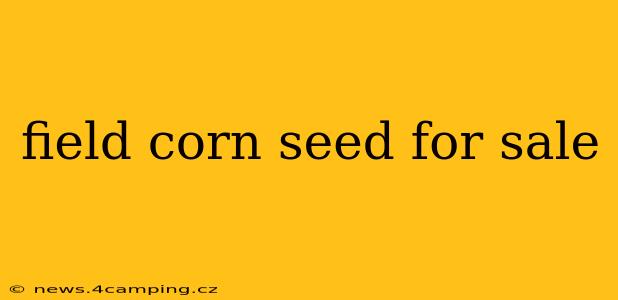 field corn seed for sale