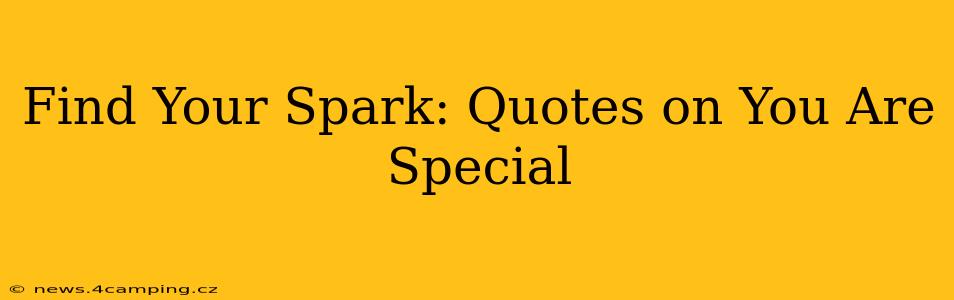 Find Your Spark: Quotes on You Are Special