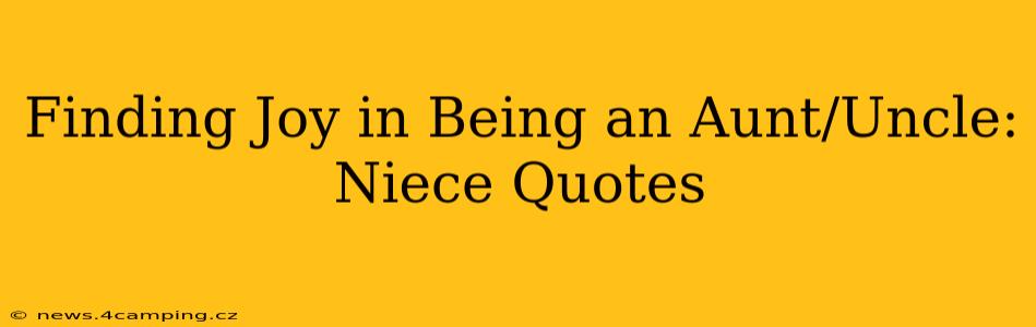 Finding Joy in Being an Aunt/Uncle: Niece Quotes