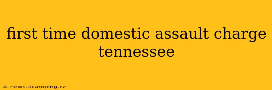 first time domestic assault charge tennessee