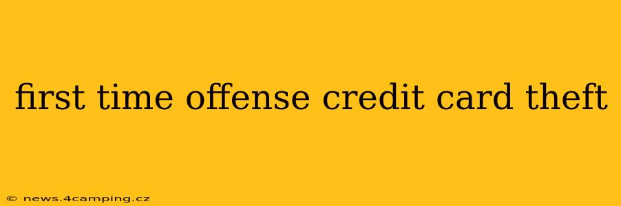 first time offense credit card theft