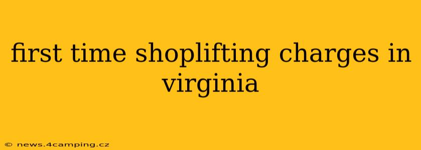 first time shoplifting charges in virginia