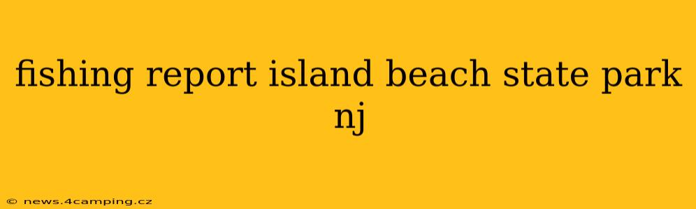 fishing report island beach state park nj