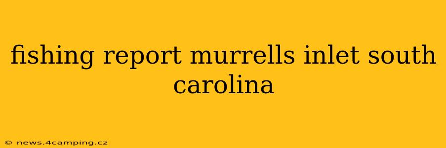 fishing report murrells inlet south carolina