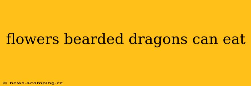 flowers bearded dragons can eat