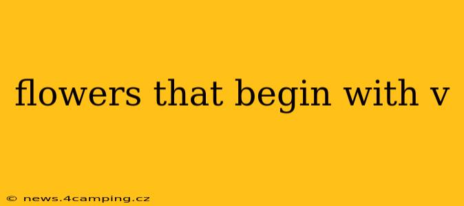 flowers that begin with v