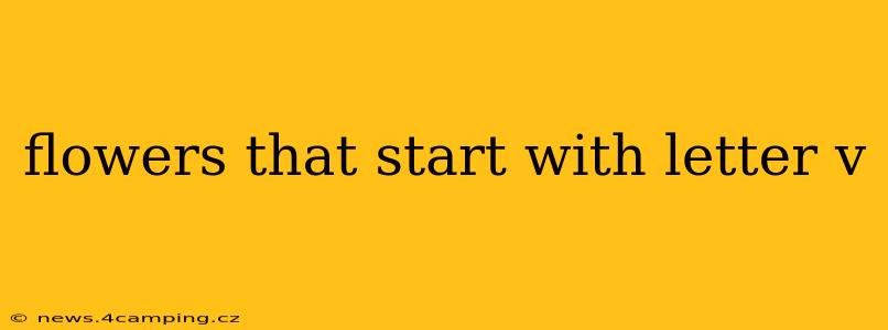 flowers that start with letter v