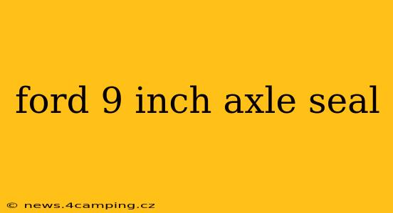 ford 9 inch axle seal