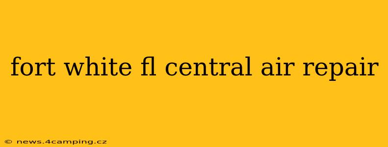 fort white fl central air repair