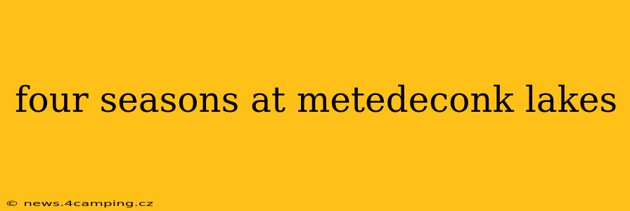 four seasons at metedeconk lakes
