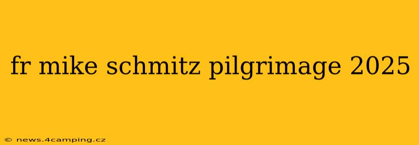 fr mike schmitz pilgrimage 2025