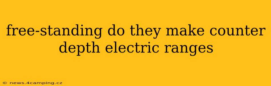 free-standing do they make counter depth electric ranges