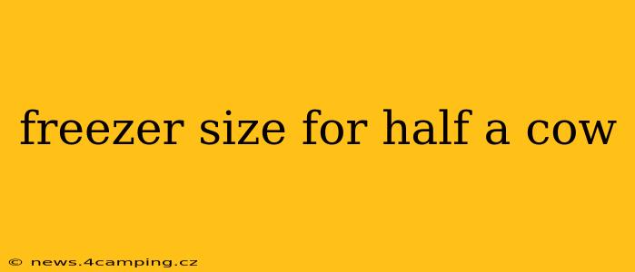 freezer size for half a cow