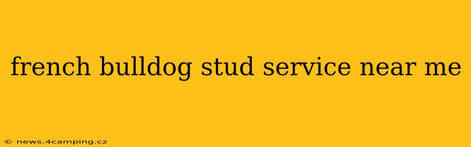 french bulldog stud service near me