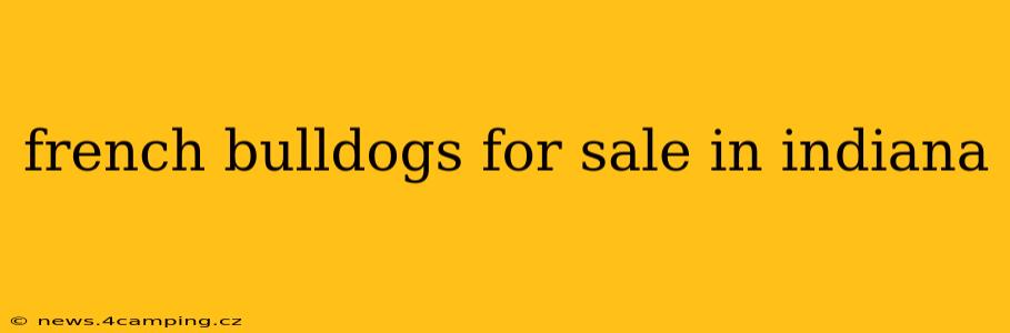 french bulldogs for sale in indiana