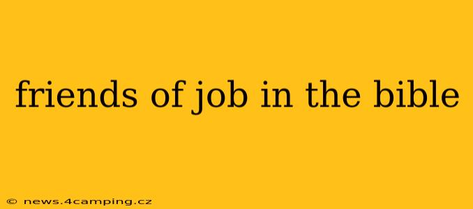 friends of job in the bible