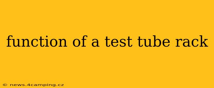 function of a test tube rack